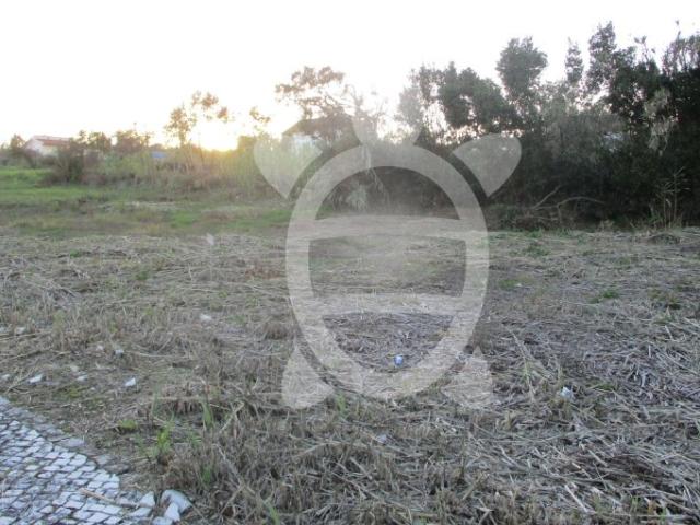 Lote de Terreno em Lavos
