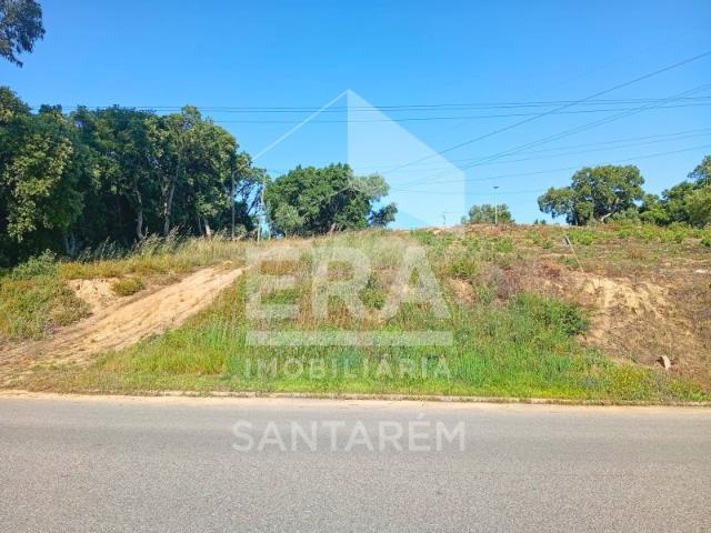 Lote de terreno em Santarém