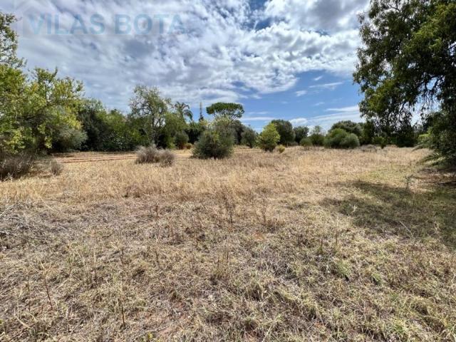 Lote de Terreno em Vale de Éguas