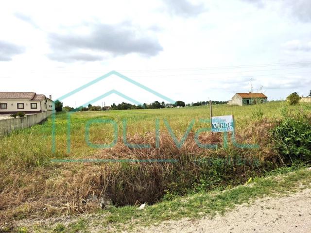 Lote de Terreno 7200m Foros de Salvaterra
