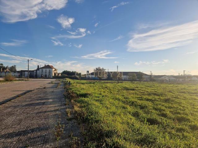 Lote de terreno || Freguesia de Pelariga || Pombal