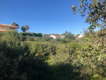 Lote de Terreno Monte Canelas