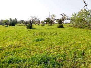 Lote de Terreno de 470m2 Monte Branco Gambelas P/ Construção de Moradia de 281m2 2 Andares