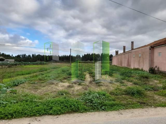Lote de Terreno Marvão, Cantanhede