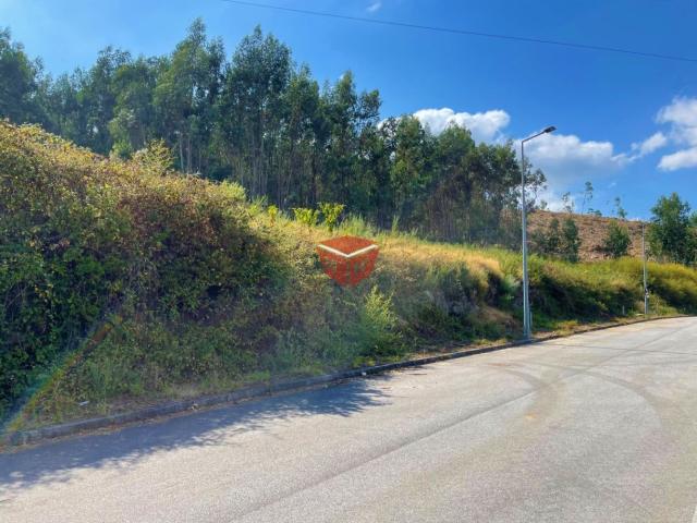 LOTE DE TERRENO Nº 11 | VILELA
