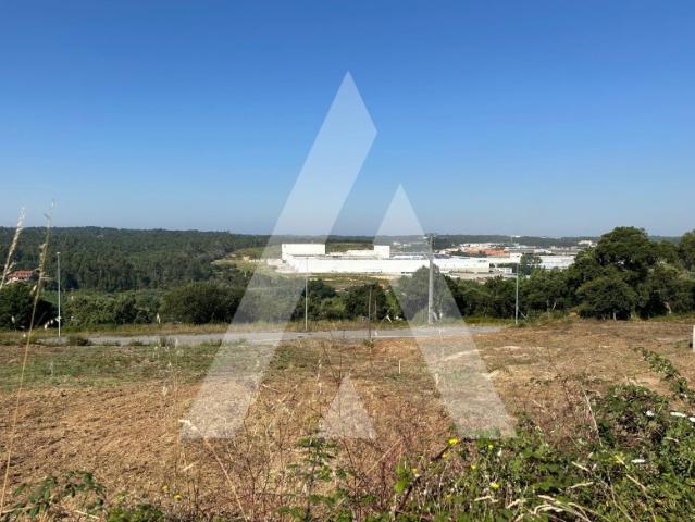 Lote de terreno no centro de Oliveira do Bairro