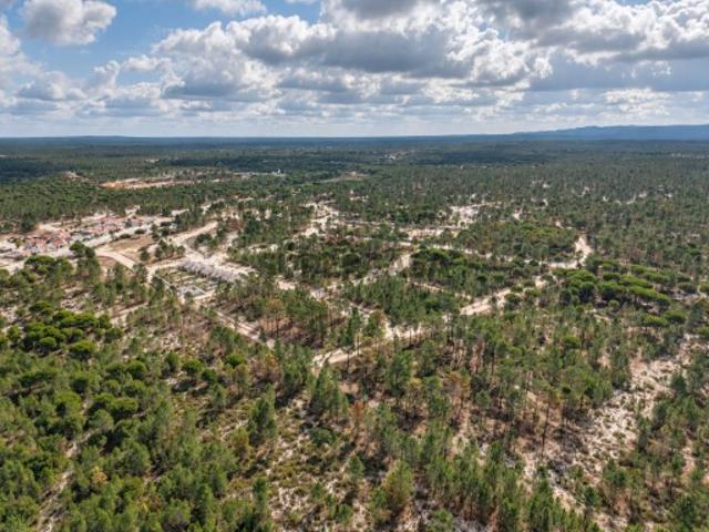 Lote de Terreno num novo empreendimento na Muda, Grândola