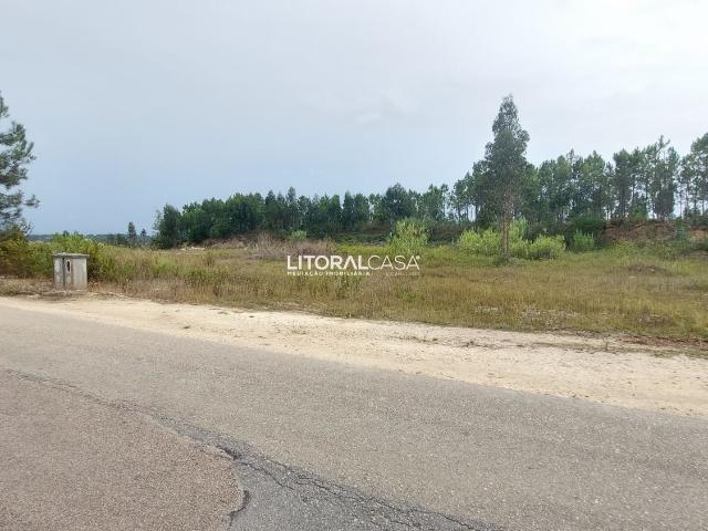 Lote de terreno p/ construção | Carregal