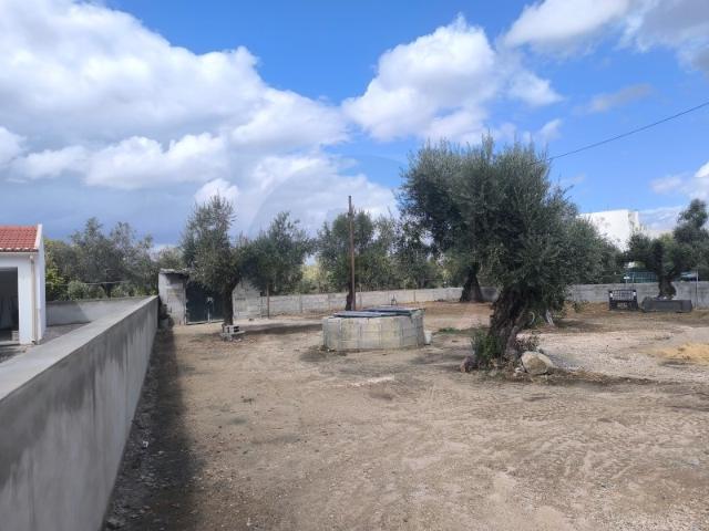 Lote de Terreno Para Venda Abrantes