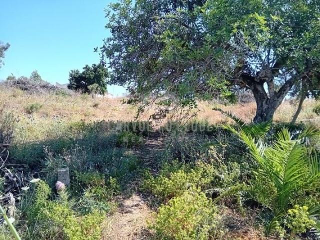 Lote de terreno para construção 2.343 m² com vista mar em zona procurada