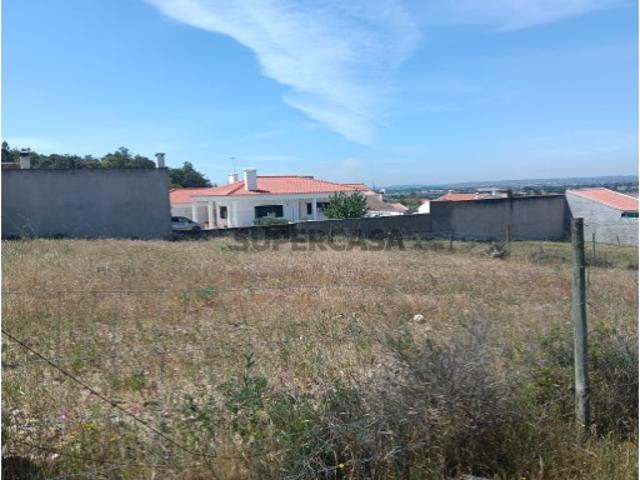 Lote de Terreno para Construção | Carregueira Chamusca