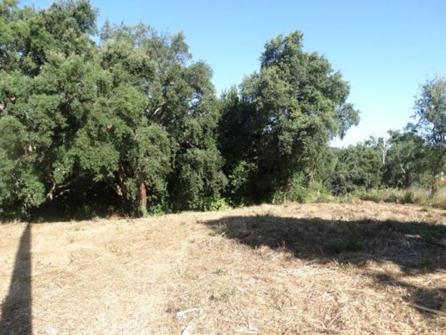 Lote de terreno para construção, Barreira, Leiria