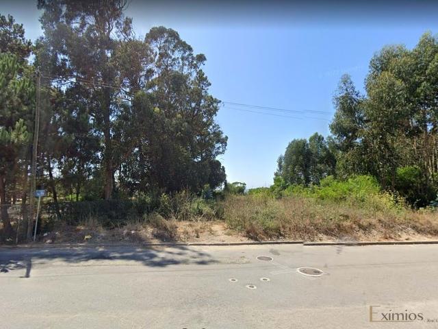 Lote de terreno para construção, em Areia, Árvore
