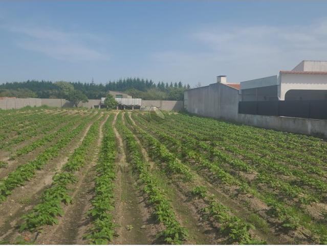 Lote de Terreno para Construção em Marinhais, em Salvaterra de Magos