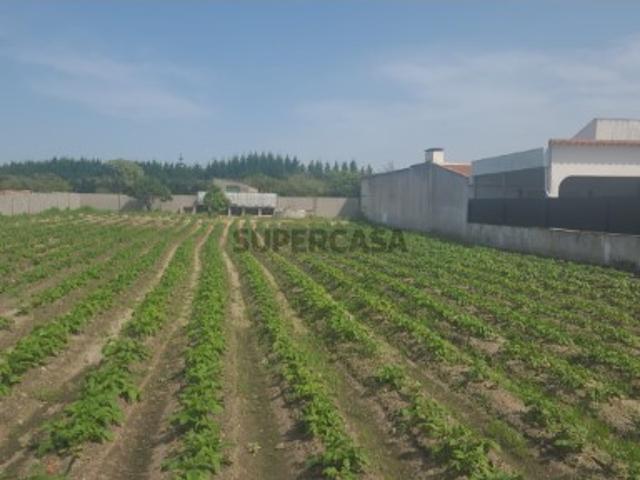 Lote de Terreno para Construção em Marinhais, em Salvaterra de Magos