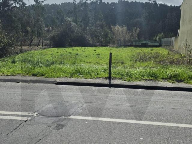 Lote de Terreno para Construção em Murta – Oliveira do Bairro