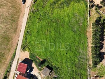 Lote de Terreno para construção, em Santa Susana, Alcácer do Sal