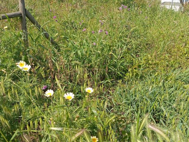 Lote de Terreno para Construção em Sesimbra