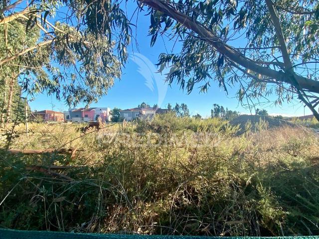 Lote de Terreno para construção habitacional em Rio Maior