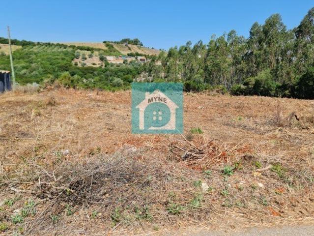 Lote de Terreno para construção perto de Alcobaça