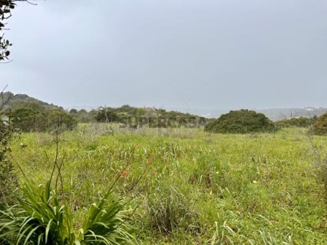Lote de terreno para construir um Hotel de Saúde ou um Lar para a terceira idade. Portimão, Algarve,Portugal