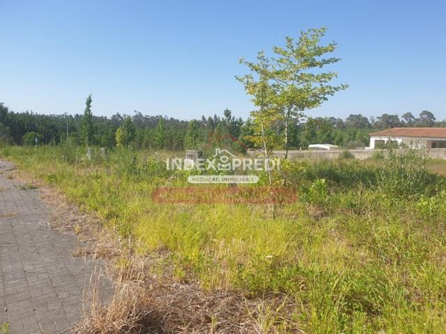 Lote de terreno rustico