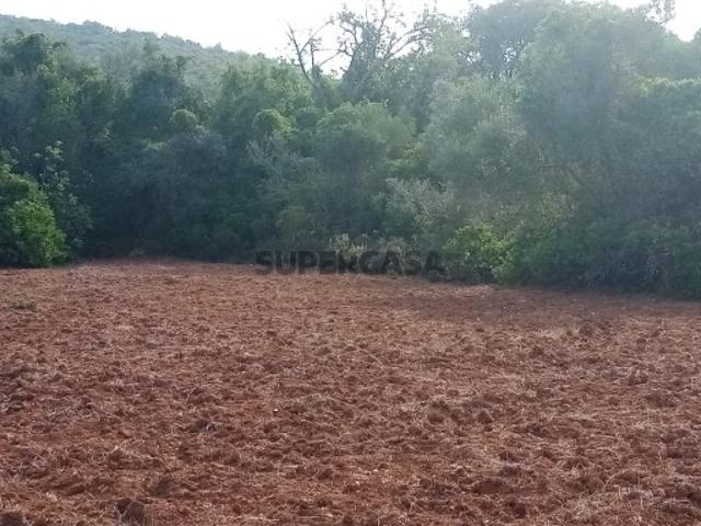 Lote de terreno rústico com 4500m2, Loulé, Algarve