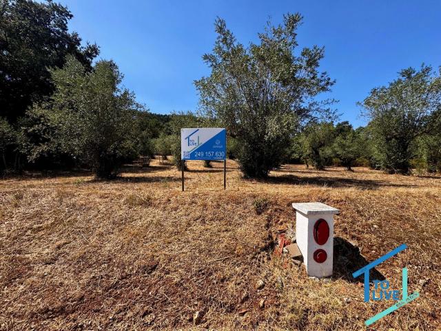 Lote de Terreno Rústico com 5.440 m2 – Oliveiras, Plano e com Infraestruturas