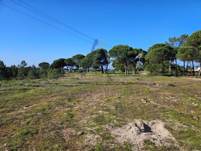 Terreno Rústico à Venda 824 m² | Próximo das Praias do Meco