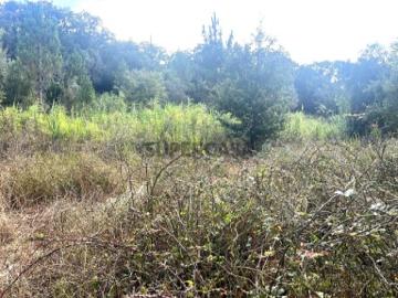 Lote de terreno rústico com 8.750 m2, no Freixial, Bucelas