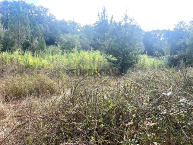 Lote de terreno rústico com 8.750 m2, no Freixial, Bucelas