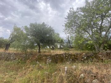 Salir, Freguesía de Salir, Loulé, Distrito de Faro, Algarve