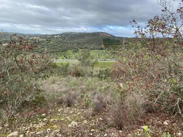 Lote de terreno rústico com uma área de 19.560 m2, situado no Medronhal em Paderne