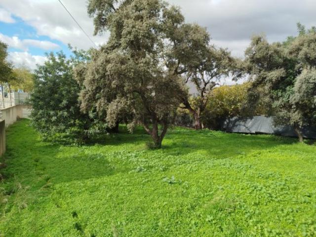 Lote de Terreno Rústico em malha urbana, Loulé, Algarve