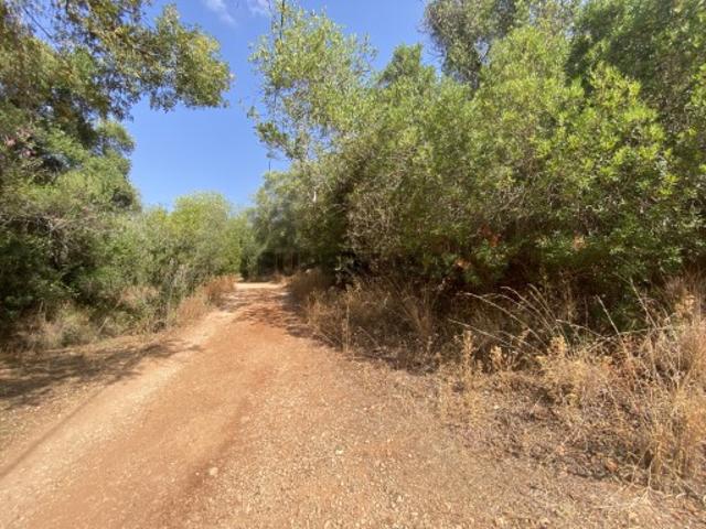 Lote de terreno rústico na Fonte da Benémola, Loulé, Algarve