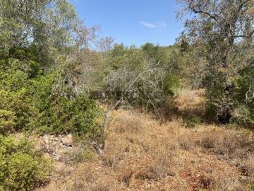 Querença, Querença Tôr e Benafim, Loulé, Distrito de Faro, Algarve