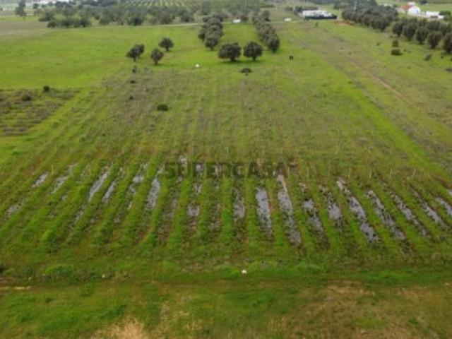 Lote de terreno rústico perto de Paderne, plano, vedado e com vista desafogada