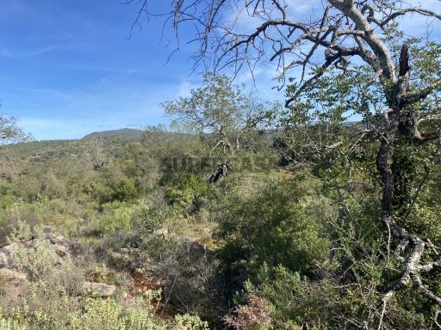 Lote de terreno rústico situado em zona muito tranquila, Boliqueime, Algarve