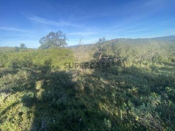 Lote de terreno rústico situado em zona muito tranquila, Boliqueime, Algarve