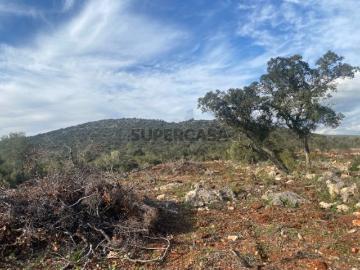 Lote de terreno rústico situado em zona muito tranquila, Boliqueime, Algarve
