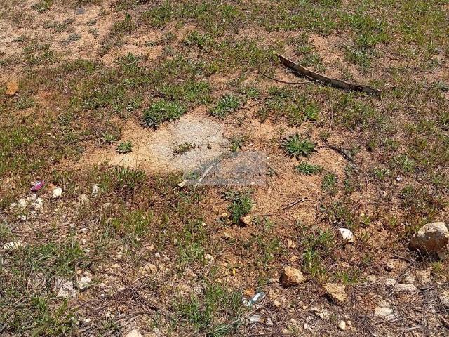 Lote de Terreno Urbano em Odiáxere