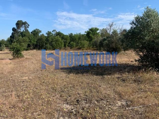 Lote de Terreno urbano – Palmela