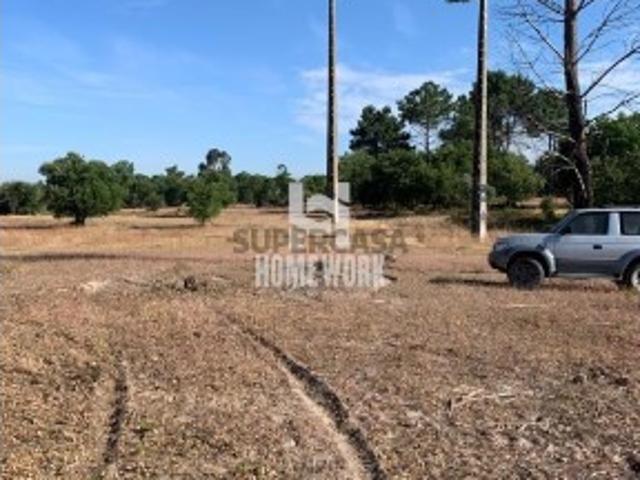 Lote de Terreno urbano Palmela