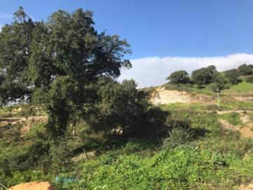 Malveira e São Miguel de Alcainça, Concelho de Mafra, Distrito de Lisboa