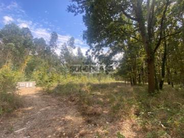 Terreno urbano com 1.018 m² em zona tranquila Barrô, Águeda
