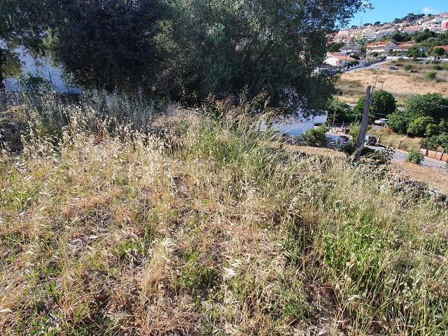 Lote de Terreno Urbano