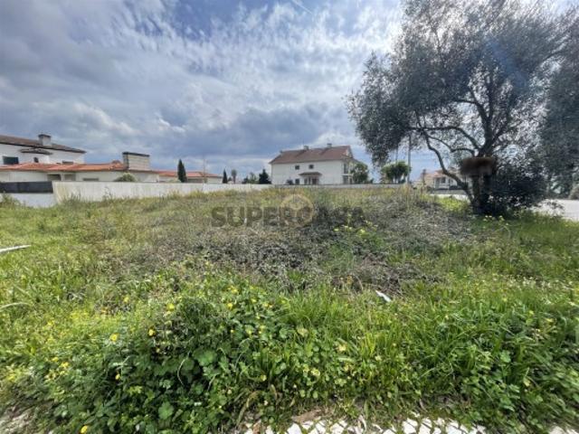 Lote de Terreno, Viseu