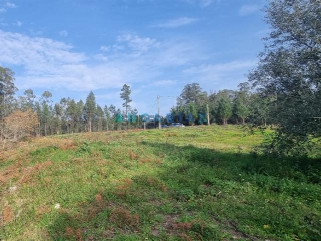 Lote de Terreno Venda em Maceira,Leiria