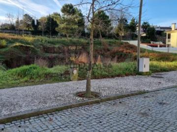 Lote de Terreno Venda em Mangualde, Mesquitela e Cunha Alta,Mangualde