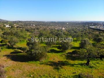Lote de Terreno Venda em Santa Bárbara de Nexe,Faro